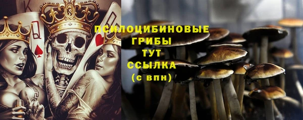 PSILOCYBIN Абинск